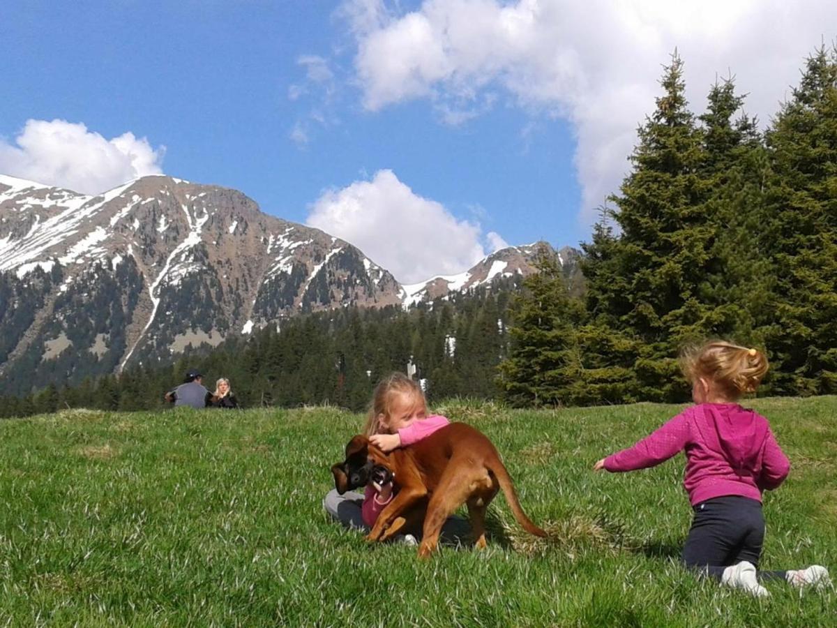 B&B Relais Dolomiti Bedollo Экстерьер фото